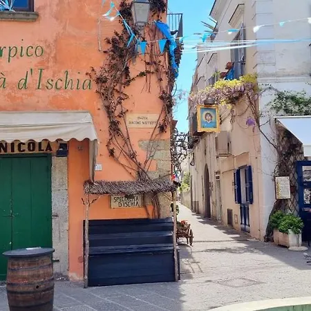 Casa Sofia - Forio Centro *